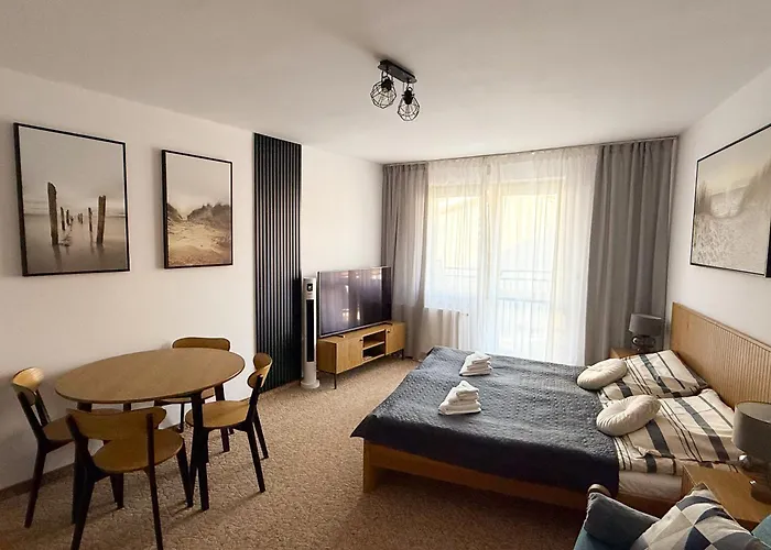 公寓 Pomorska 米兹多洛杰